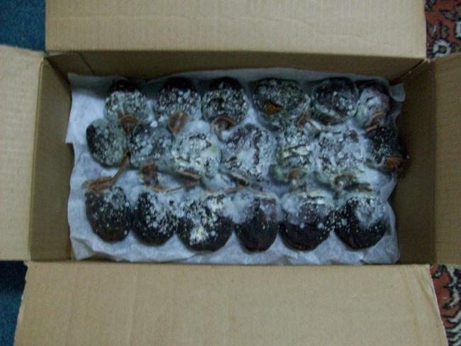 Name:  100_1578.jpg
Views: 2704
Size:  41.5 KB