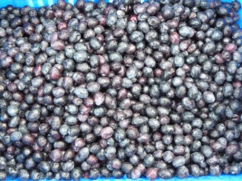 Name:  zeytinler.jpg
Views: 3475
Size:  62.2 KB