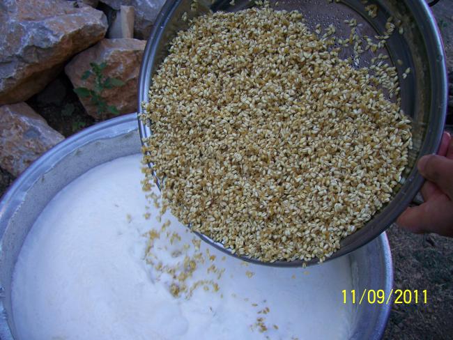 Name:  Resim 086.jpg
Views: 919
Size:  64.8 KB