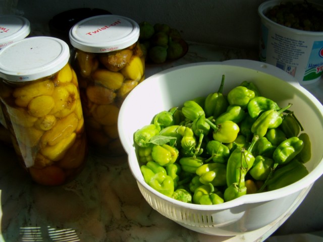 Name:  IMAG0005 [640x480].JPG
Views: 8303
Size:  66.6 KB
