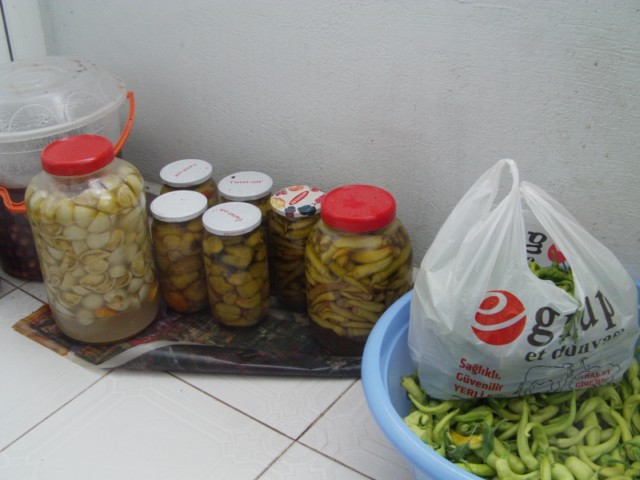 Name:  IMAG0014 [640x480].JPG
Views: 8475
Size:  63.6 KB