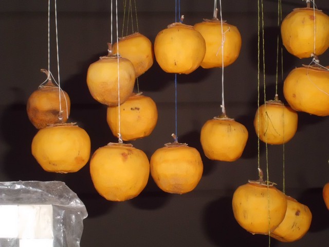 Name:  CIMG0652.jpg
Views: 1372
Size:  68.8 KB