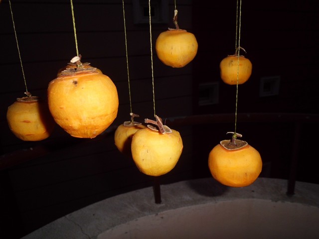 Name:  CIMG0654.jpg
Views: 945
Size:  51.2 KB