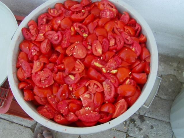 Name:  salca yap. (6).jpg
Views: 15348
Size:  46.2 KB