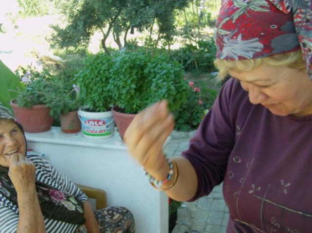 Name:  IMAG0038 [640x480].jpg
Views: 3165
Size:  47.5 KB