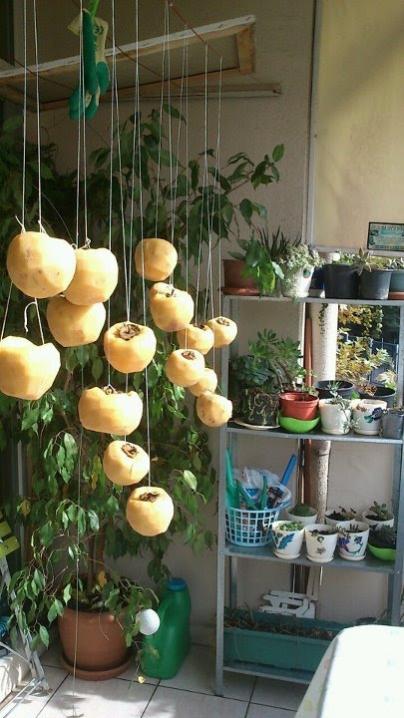 Name:  Resim 0031.jpg
Views: 1195
Size:  54.1 KB