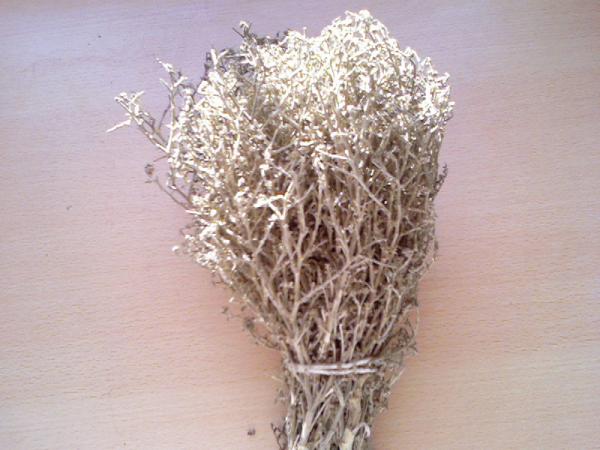 Name:  Photo-0230.jpg
Views: 7306
Size:  41.2 KB