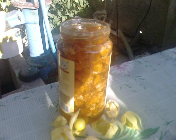 Name:  cape receli 3.jpg
Views: 945
Size:  35.4 KB