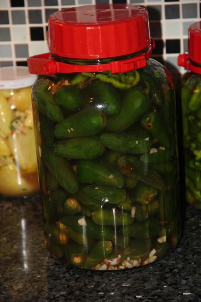 Name:  Jalapeno.jpg
Views: 4585
Size:  62.6 KB
