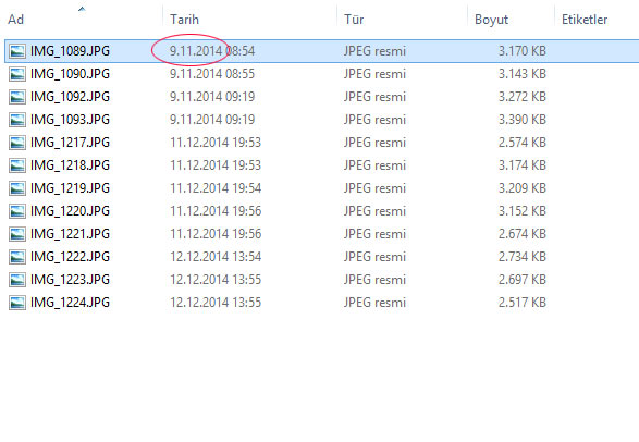 Name:  ayva-baslangic1.jpg
Views: 474
Size:  46.3 KB