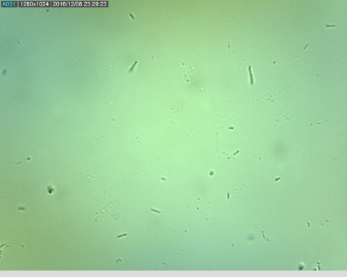 Name:  hyar2_500.jpg
Views: 1696
Size:  14.7 KB
