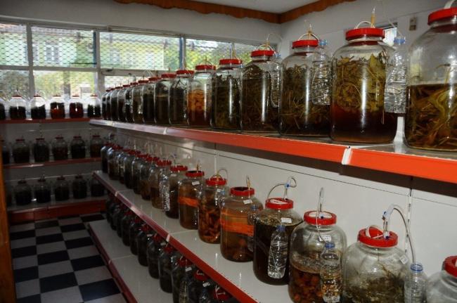 Name:  probiyotiktursu.jpg
Views: 1445
Size:  50.2 KB