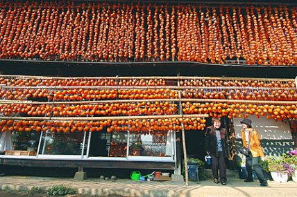 Name:  hoshigaki3.jpg
Views: 42070
Size:  59.4 KB