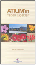 Name:  yaban.jpg
Views: 775
Size:  7.7 KB