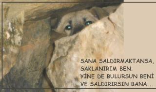 Name:  kkk.jpg
Views: 3019
Size:  11.2 KB