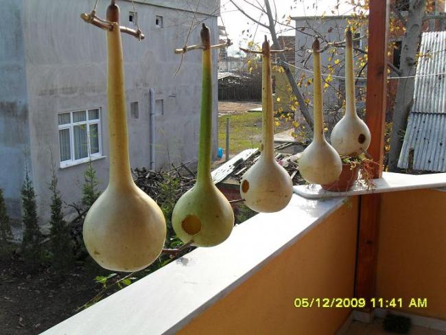 Name:  322.jpg
Views: 7461
Size:  52.3 KB