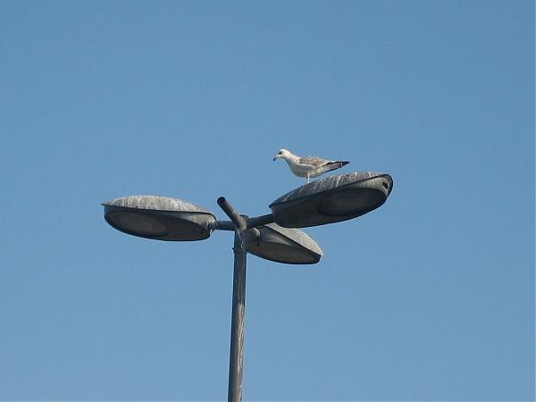 Name:  IMG_2073.jpg
Views: 351
Size:  13.3 KB
