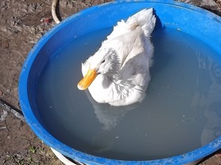 Name:  DSCF0197~1.jpg
Views: 660
Size:  22.4 KB