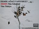 Name:  ekmek aac.jpg
Views: 2303
Size:  6.7 KB