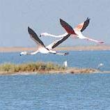 Name:  4552750.jpg
Views: 1481
Size:  4.7 KB