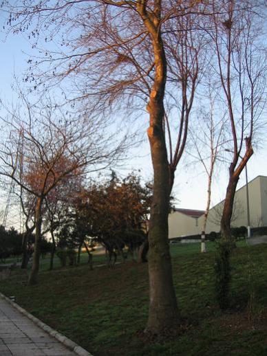 Name:  2011.04.09 Kopya1.jpg
Views: 3030
Size:  49.6 KB