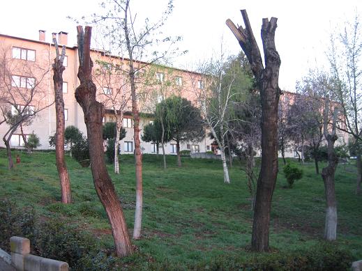 Name:  2011.04.09 k3.JPG
Views: 2933
Size:  63.4 KB