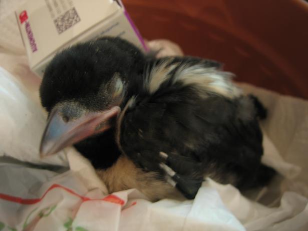 Name:  2011.05.22 k4.JPG
Views: 3537
Size:  36.7 KB