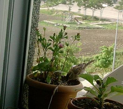 Name:  P130512_08.43_[01] - Kopya.jpg
Views: 865
Size:  29.2 KB