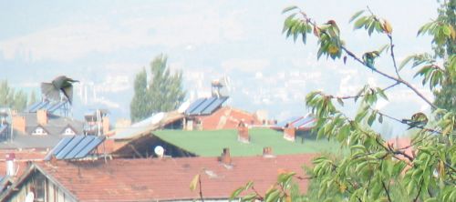 Name:  IMG_8807.jpg
Views: 1147
Size:  30.2 KB
