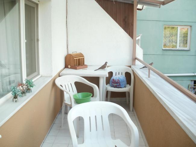 Name:  P9160080b.JPG
Views: 1509
Size:  34.5 KB