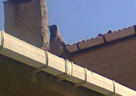 Name:  fotoraf0773_002.jpg
Views: 505
Size:  24.1 KB