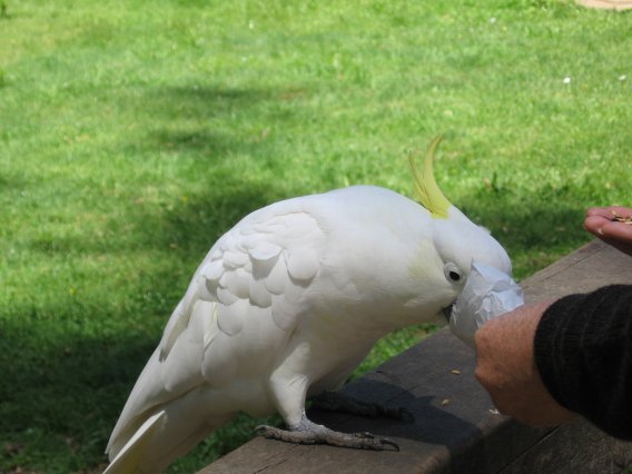 Name:  milli parktan resimler 012.jpg
Views: 1174
Size:  42.0 KB