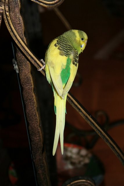 Name:  yolda bcr 1.jpg
Views: 1365
Size:  49.2 KB