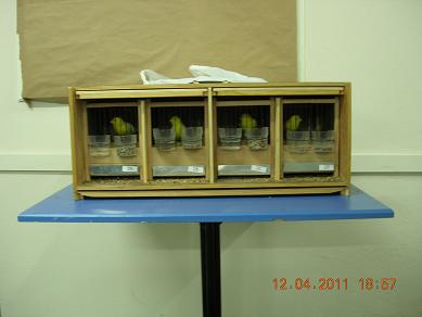 Name:  kanarya 55.JPG
Views: 3807
Size:  21.9 KB