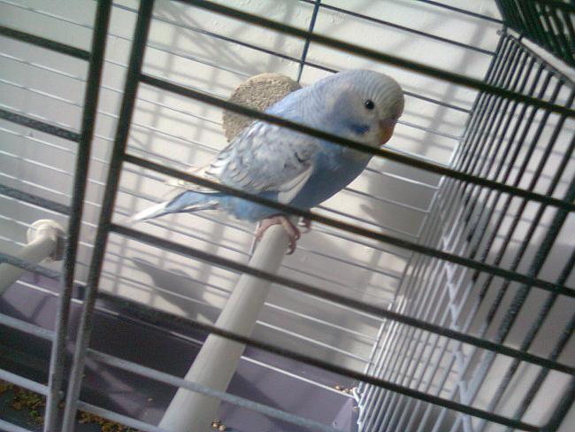 Name:  Fotoraf4296.jpg
Views: 8695
Size:  53.1 KB