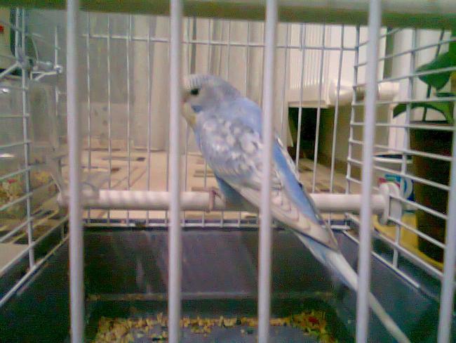 Name:  Fotoraf4345.jpg
Views: 8695
Size:  47.7 KB