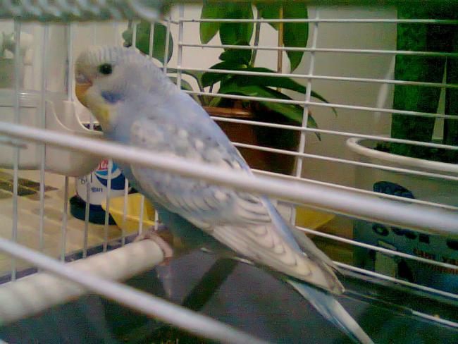 Name:  Fotoraf4346.jpg
Views: 8682
Size:  49.3 KB