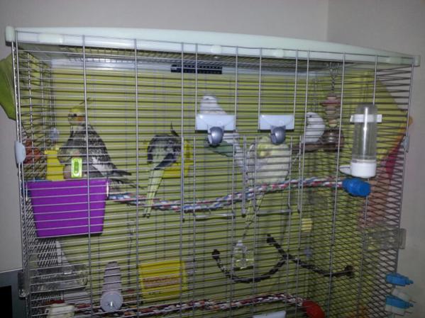 Name:  IMG-20131208-WA0014.jpg
Views: 2716
Size:  50.5 KB
