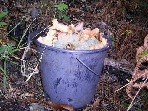 Name:  PIC_0133.JPG
Views: 19936
Size:  60.8 KB