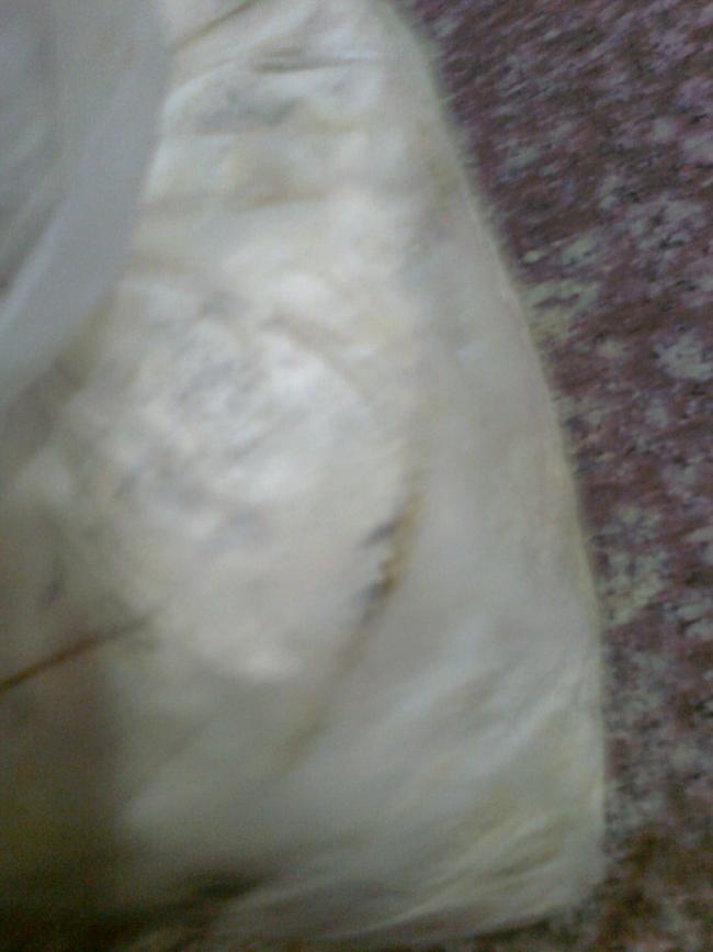 Name:  Fotoraf0130.jpg
Views: 9013
Size:  39.8 KB