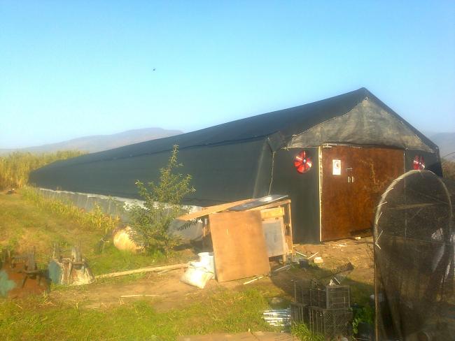 Name:  Fotoraf0412.jpg
Views: 37708
Size:  38.6 KB