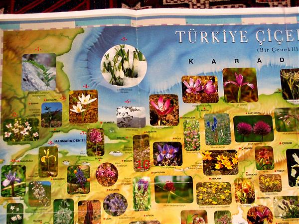 Name:  marmara.jpg
Views: 15870
Size:  76.3 KB