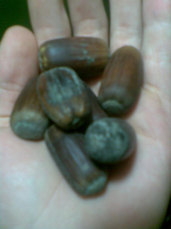 Name:  Salim181.jpg
Views: 6002
Size:  35.8 KB