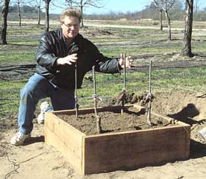 Name:  raised_bed_redwood-raised-bed-5_0.jpg
Views: 41471
Size:  17.8 KB