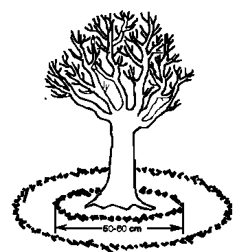 Name:  clip_image002.gif
Views: 18520
Size:  5.4 KB