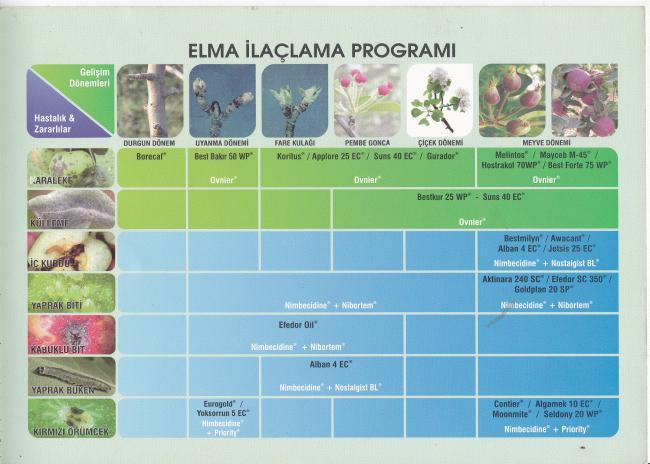 Name:  elma.jpg
Views: 2827
Size:  44.9 KB