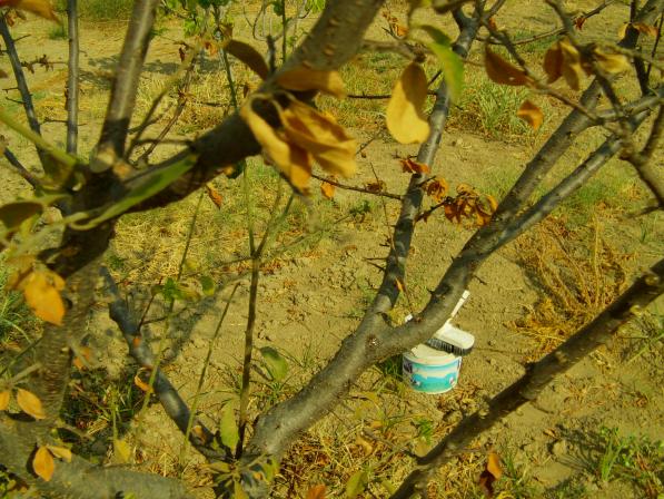 Name:  IMAG0008.jpg
Views: 21146
Size:  70.8 KB