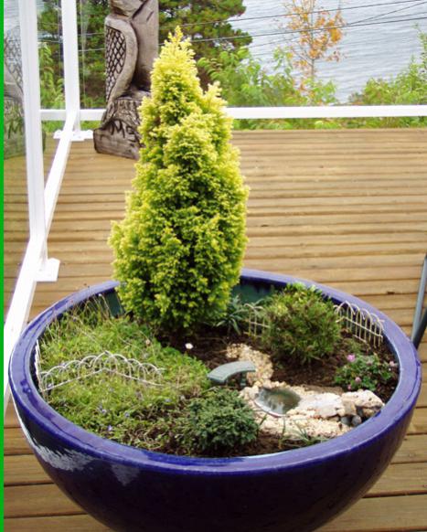 Name:  Char's Miniature Garden in Summer.jpg
Views: 13361
Size:  59.5 KB