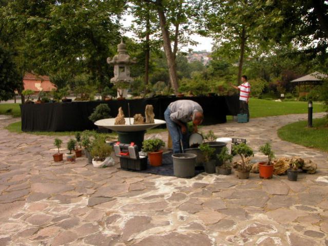 Name:  DSCN0873.jpg
Views: 2798
Size:  64.6 KB