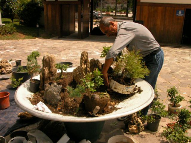 Name:  DSCN0877-1.jpg
Views: 2685
Size:  59.7 KB